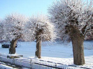 In Berka, im Hainich Winter