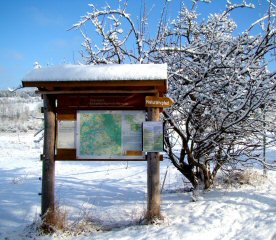 Bei Lauterbach Winterbild