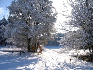 Abschied vom Winter