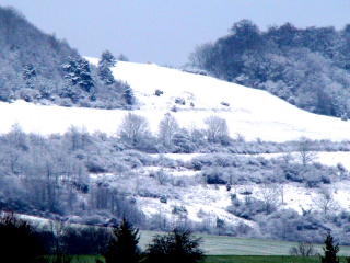 Harsberg in Weiß