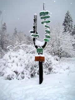 Winterwanderung des Heimatvereins führte durch eine traumhafte Märchenwelt