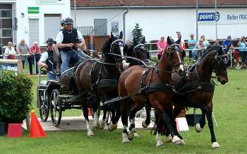 Pfingstturnier 2015 – ein schöner Erfolg