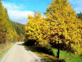 Bilderbuchmotive des "Goldenen Herbstes"