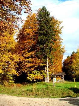 Bilderbuchmotive des "Goldenen Herbstes"