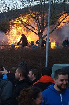 Annahme Baumschnitt für das Osterfeuer in Mihla